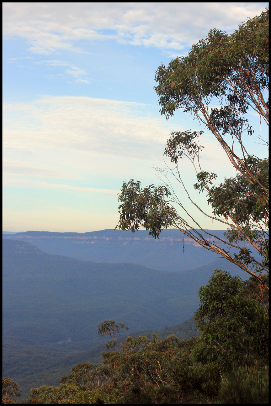 Springwood, New South Wales Australia