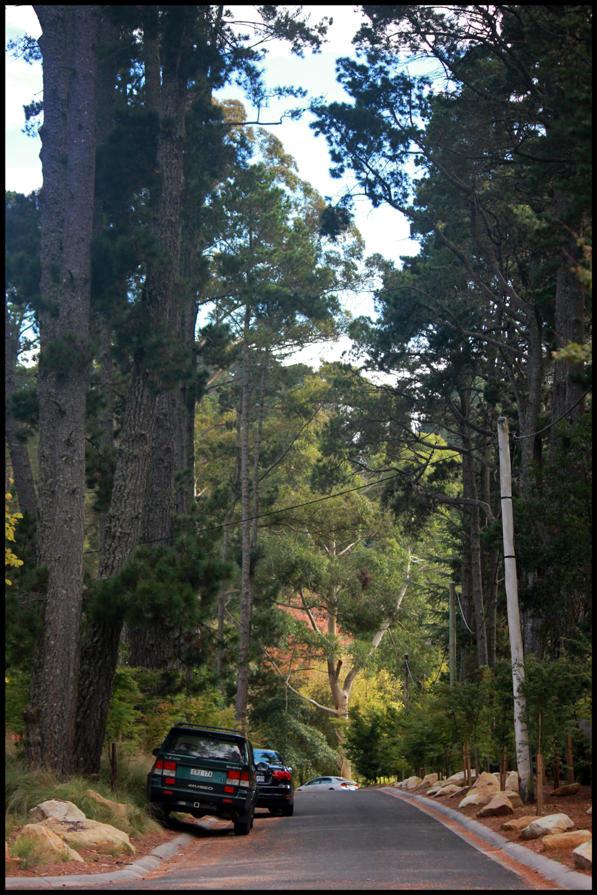 Springwood, New South Wales Australia