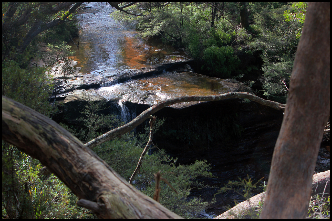 Springwood, New South Wales Australia