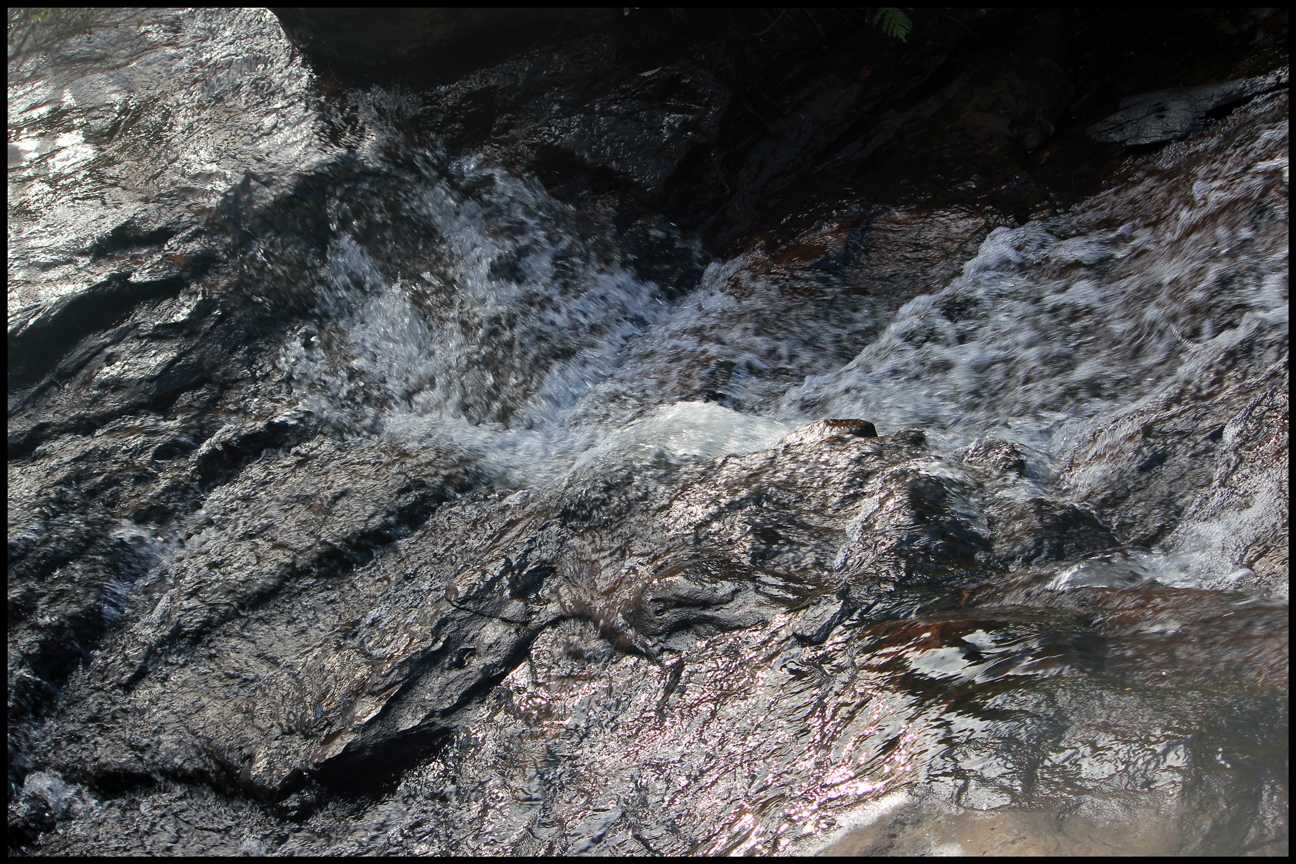 Springwood, New South Wales Australia