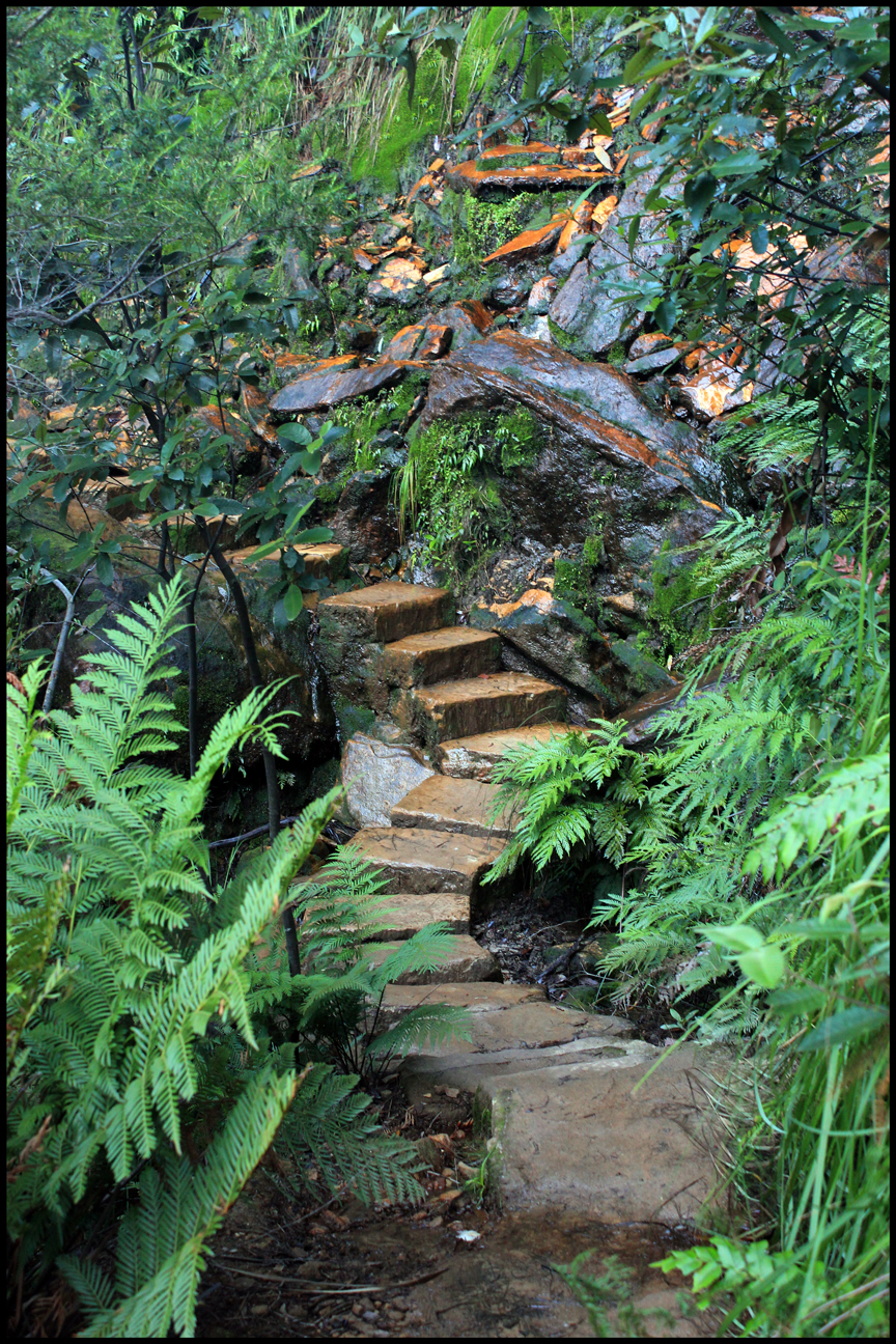 Springwood, New South Wales Australia