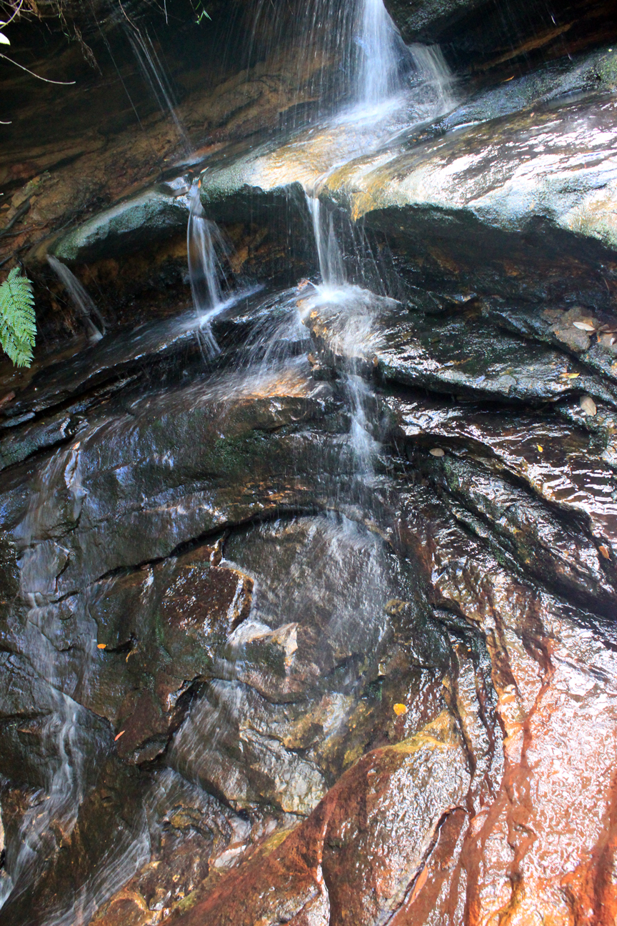 Wentworth Falls, New South Wales Australia