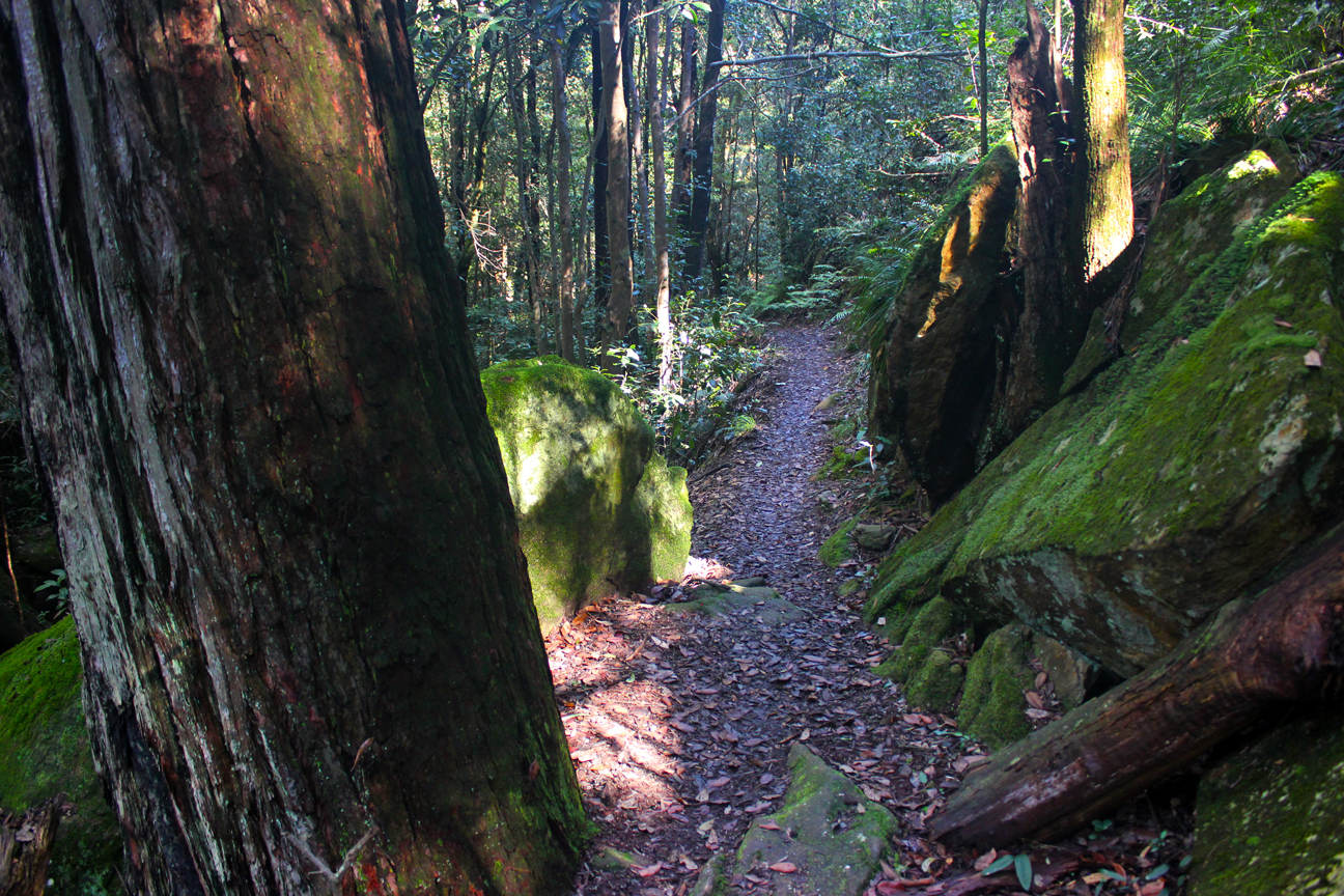 Wentworth Falls, New South Wales Australia